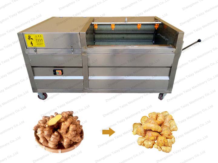 How to Clean Ginger with Ginger Washing Machine?